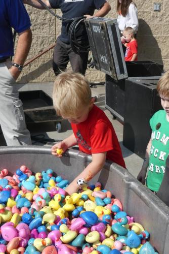 srd-2023-duck-pluck-1